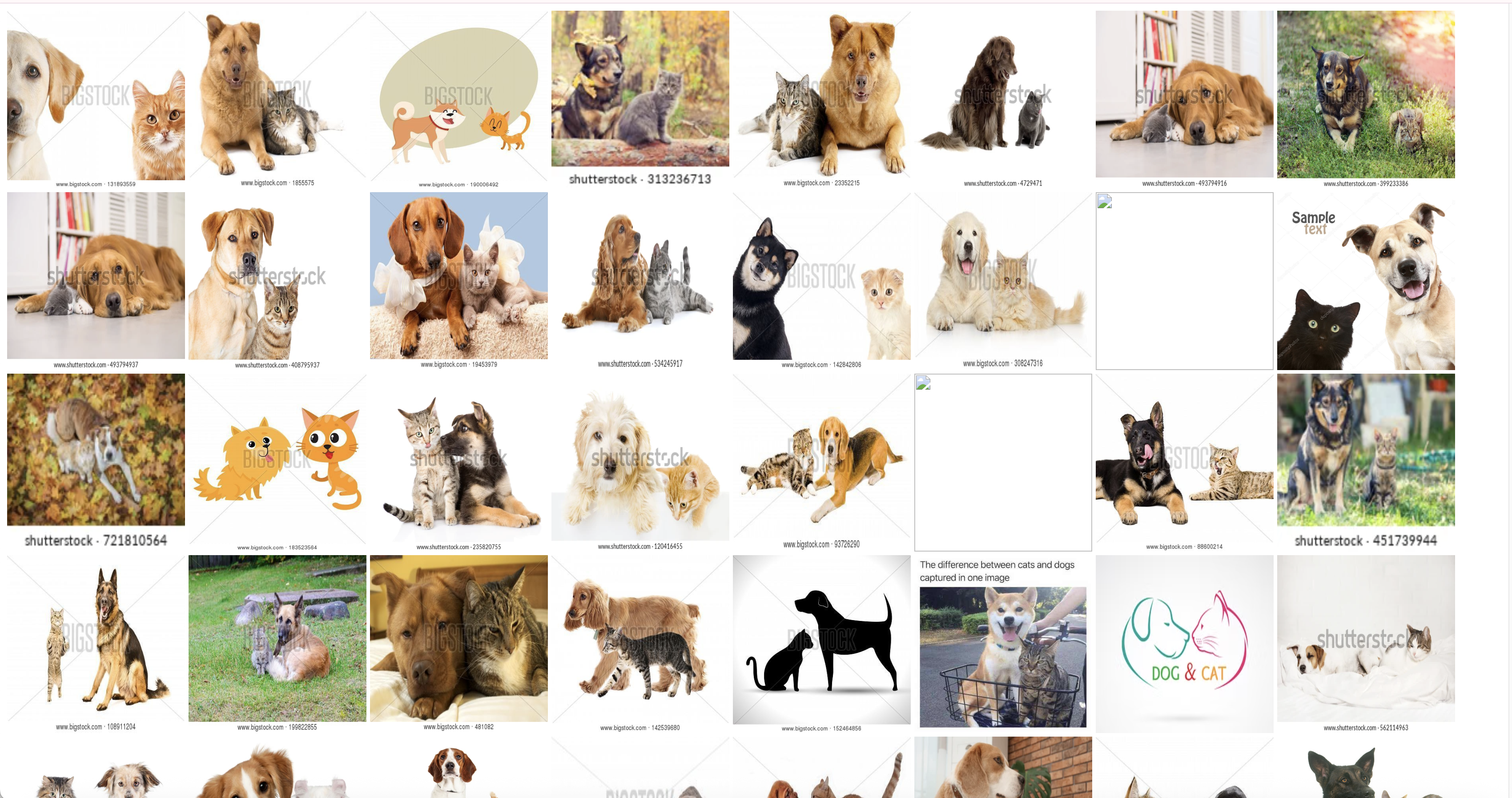 벡터 유사도 검색 결과